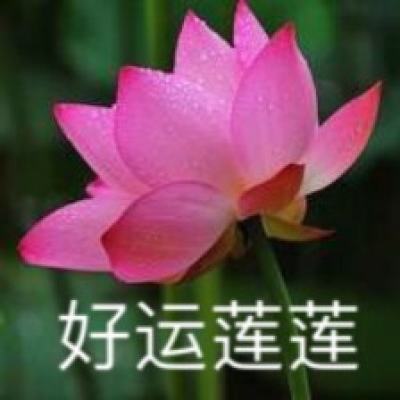 台湾社会各界：海峡论坛发出两岸交流和平理性声音